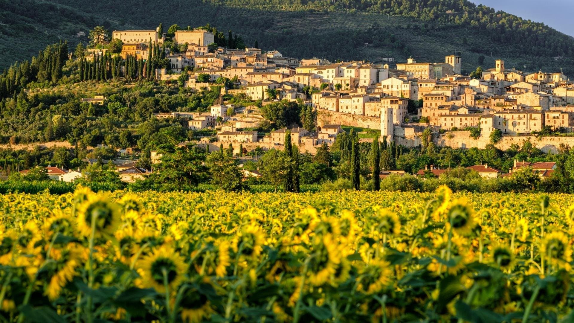 Umbria private tours with driver