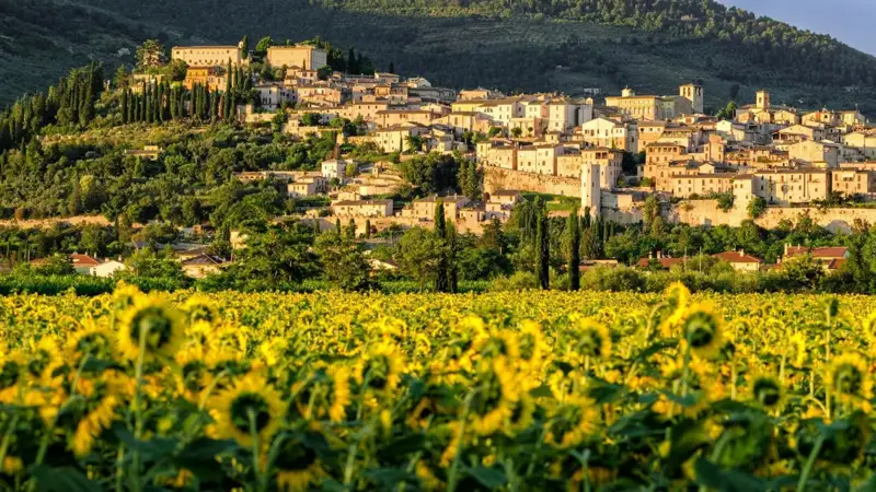 Hill town and countryside in Umbria